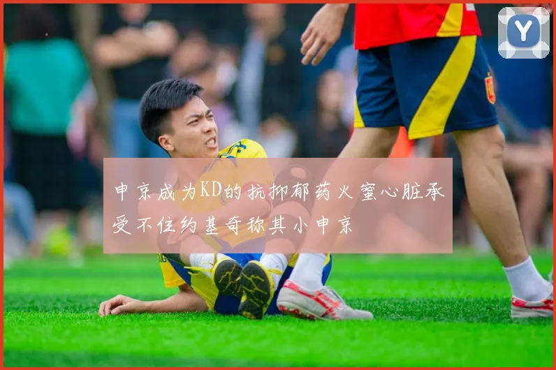 申京成为KD的抗抑郁药火蜜心脏承受不住约基奇称其小申京