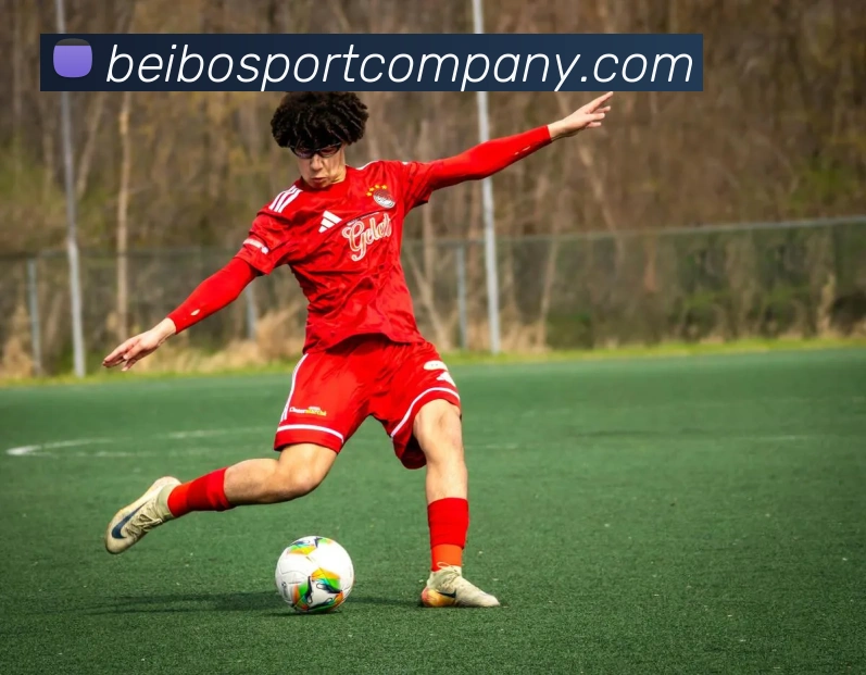 贝博足球平台生态图