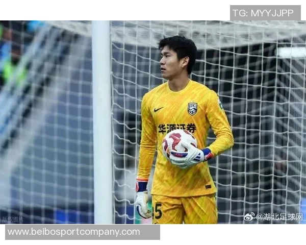 中超第27轮最佳球员候选名单揭晓纳萨里奥罗慕洛赵博韦斯利郭嘉宇争夺荣誉