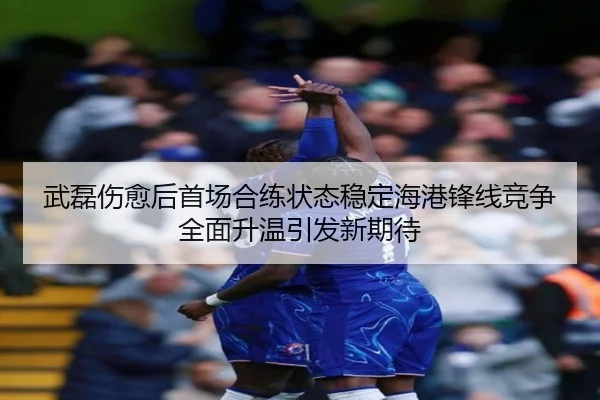 武磊伤愈后首场合练状态稳定海港锋线竞争全面升温引发新期待 | BEIBOSPORTS