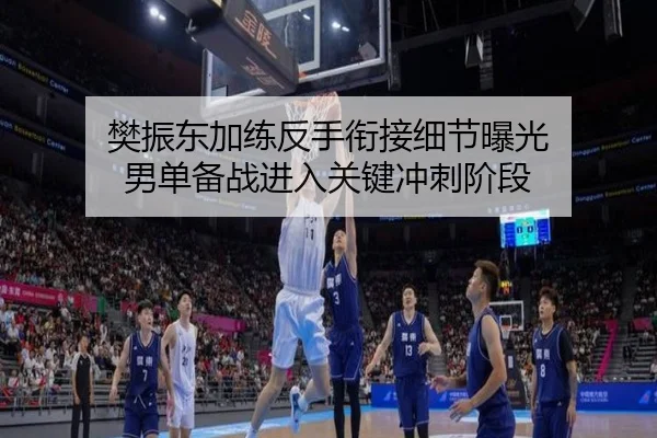 樊振东加练反手衔接细节曝光 男单备战进入关键冲刺阶段 | BEIBOSPORTS